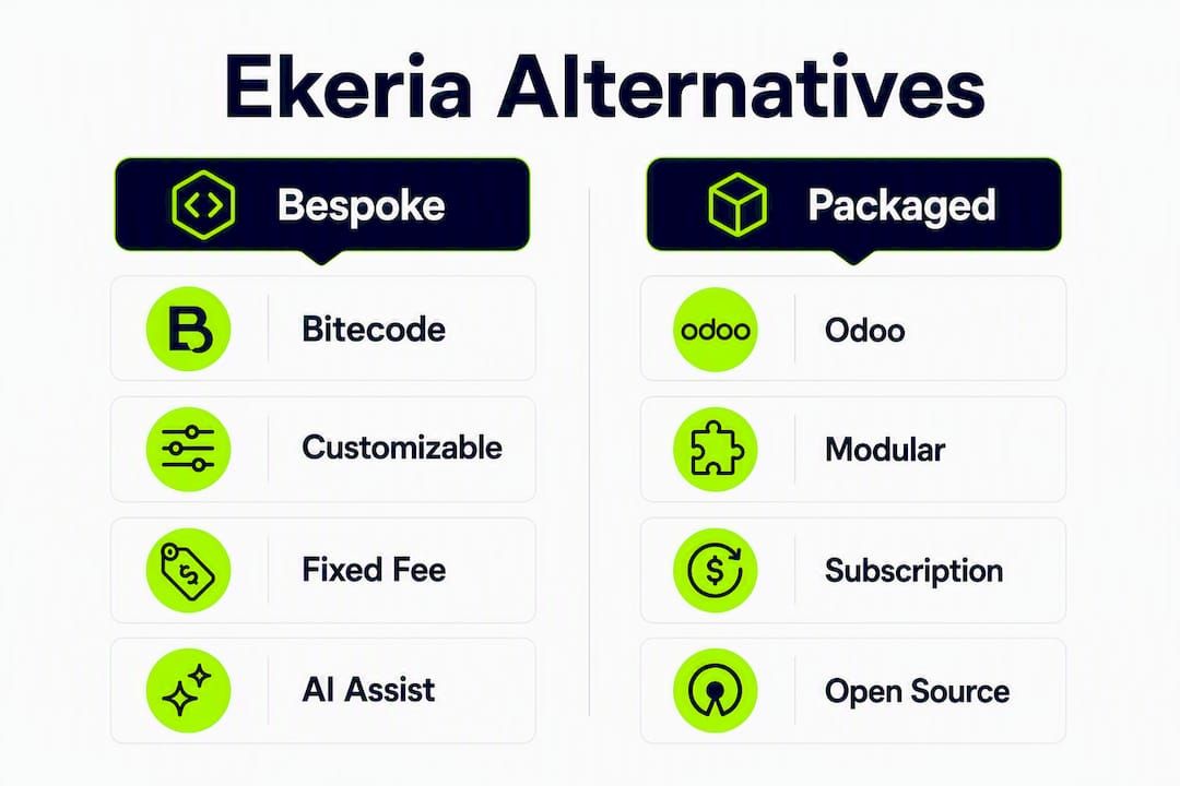 Infographic comparing bespoke and packaged enterprise platforms